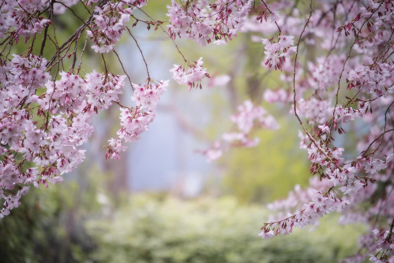 Creating Your Own Garden Decor - DIY Ideas